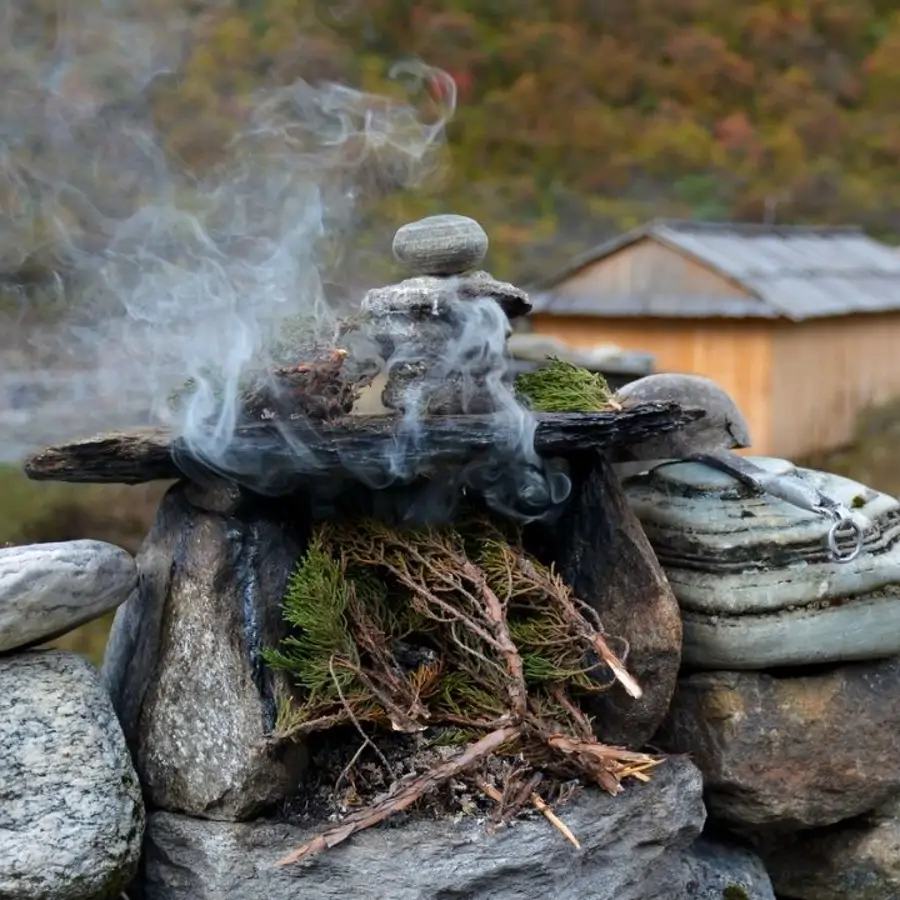 Begoña Imaz   Enebro