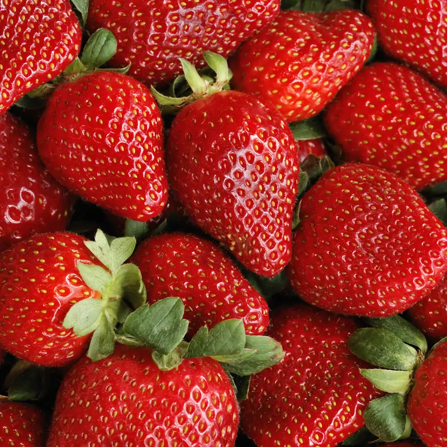 Fresas